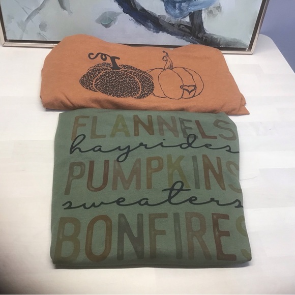 Canvas Tops - Fall pumpkins bundle of two Women’s 2X Darling Tees